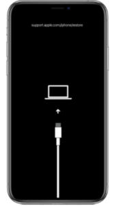 iphone software issue